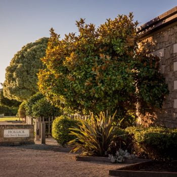 Hollick Estates Coonawarra Vignerons