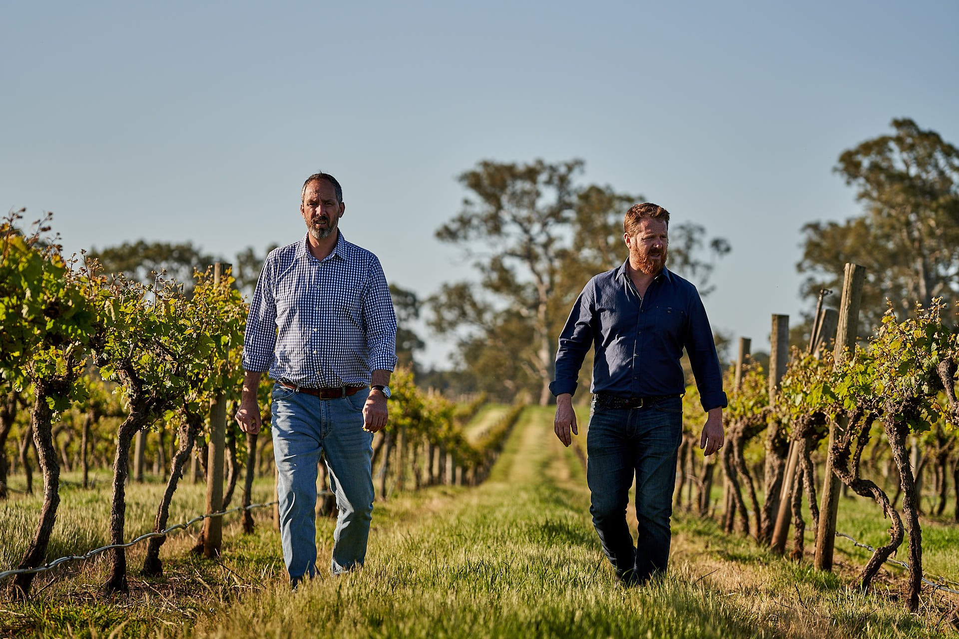 Coonawarra Cabernet awarded World's Best - Coonawarra Vignerons